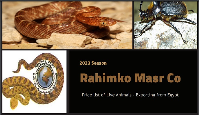 rahimko 2023.jpg